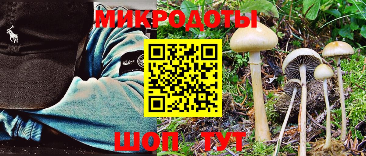 Псилоцибиновые грибы GOLDEN TEACHER Оренбург